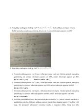 Makroekonomikos darbas seminarui. Prekių rinka. Vartojimo išlaidos ir taupymas 3 puslapis