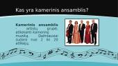 Kamerinis ansamblis 2 puslapis