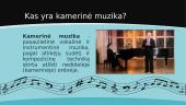 Kamerinis ansamblis 3 puslapis