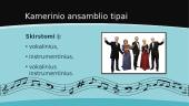 Kamerinis ansamblis 4 puslapis