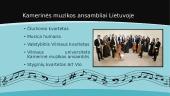 Kamerinis ansamblis 5 puslapis