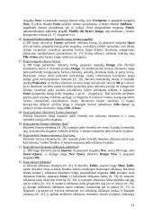 Darbas su MS Access 11 puslapis