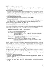 Darbas su MS Access 15 puslapis