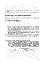 Darbas su MS Access 17 puslapis