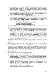 Darbas su MS Access 18 puslapis