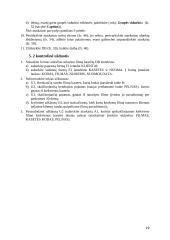 Darbas su MS Access 19 puslapis