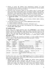 Darbas su MS Access 3 puslapis