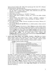 Darbas su MS Access 5 puslapis