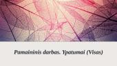 Pamainimis darbas