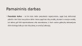 Pamainimis darbas 2 puslapis