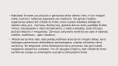 Pamainimis darbas 7 puslapis