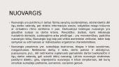 Pamainimis darbas 8 puslapis