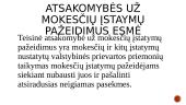 Atsakomybė už mokesčių įstatymų pažeidimus (skaidrės) 2 puslapis