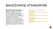 Atsakomybė už mokesčių įstatymų pažeidimus (skaidrės) 4 puslapis