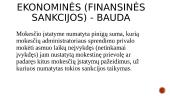 Atsakomybė už mokesčių įstatymų pažeidimus (skaidrės) 7 puslapis