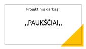 Paukščiai
