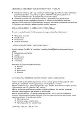 Duomenų bazių teorija atsiskaitymui 11 puslapis