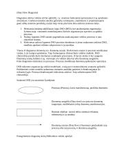 Duomenų bazių teorija atsiskaitymui 12 puslapis