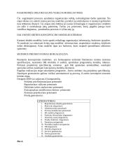 Duomenų bazių teorija atsiskaitymui 17 puslapis