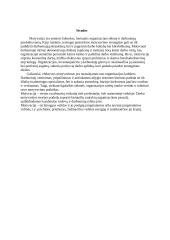 Motyvacija organizacijose 11 puslapis
