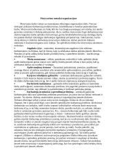 Motyvacija organizacijose 7 puslapis
