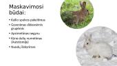 Smulkiųjų gyvūnų prisitaikymas gamtoje 6 puslapis