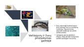 Smulkiųjų gyvūnų prisitaikymas gamtoje 10 puslapis