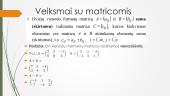 Matricos, veiksmai su matricomis 6 puslapis