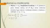 Matricos, veiksmai su matricomis 7 puslapis