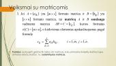 Matricos, veiksmai su matricomis 10 puslapis