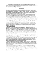 Ekstremalūs meteorologiniai reiškiniai 2 puslapis