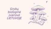 Grybų biologinė įvairovė Lietuvoje