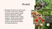 Grybų biologinė įvairovė Lietuvoje 14 puslapis