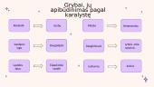 Grybų biologinė įvairovė Lietuvoje 4 puslapis