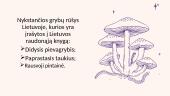 Grybų biologinė įvairovė Lietuvoje 9 puslapis