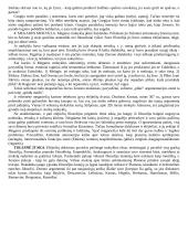 Elėjos filosofija 5 puslapis