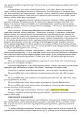 Elektroninė vyriausybė (valdžia) 3 puslapis