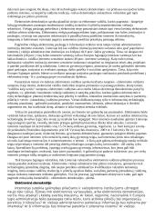 Elektroninė vyriausybė (valdžia) 4 puslapis