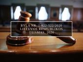 Baudžiamosios bylos pristatymas 2 puslapis