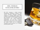 Baudžiamosios bylos pristatymas 11 puslapis