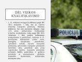 Baudžiamosios bylos pristatymas 12 puslapis