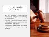 Baudžiamosios bylos pristatymas 13 puslapis