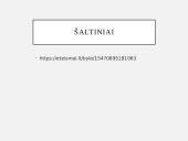 Baudžiamosios bylos pristatymas 17 puslapis