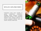 Baudžiamosios bylos pristatymas 4 puslapis