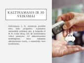 Baudžiamosios bylos pristatymas 5 puslapis