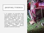 Baudžiamosios bylos pristatymas 10 puslapis