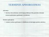 Medžiagotyra. Praktinis darbas 17 puslapis