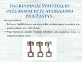 Medžiagotyra. Praktinis darbas 4 puslapis