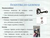 Medžiagotyra. Praktinis darbas 6 puslapis