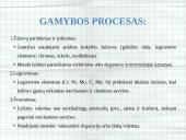 Medžiagotyra. Praktinis darbas 8 puslapis